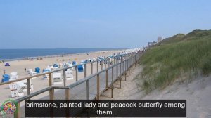 Best Tourist Attractions Places To Travel In Germany | Sylt Island Destination Spot