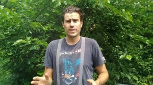 Ошибки пчеловода.пчелы плохо развиваются.не правельный вывод маток с свищовыщевы