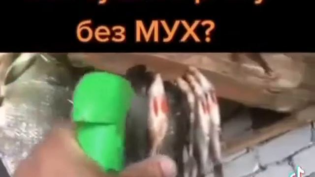 Как сушить рыбу БЕЗ МУХ