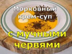 Морковный крем-суп с мучными червями