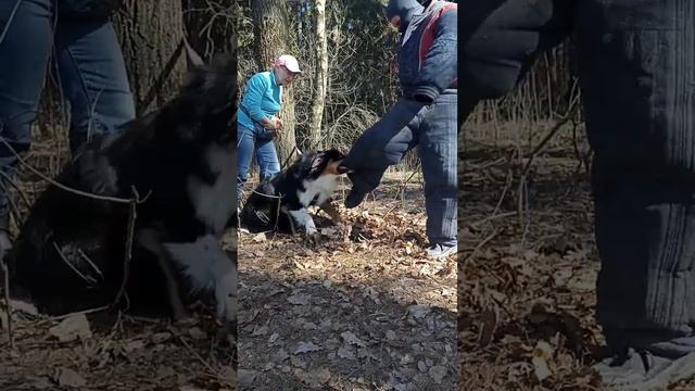 Прикладная защита. Аусси Гром 4 занятие.