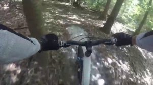 Salisbury City Park mountain biking