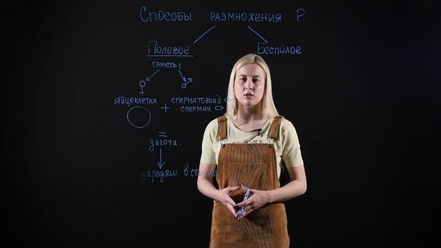 БИОЛОГИЯ 6 класс: Способы размножения растений