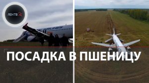Самолет сел в поле | Рейс Сочи-Омск Уральских авиалиний приземлился в пшеницу | Аварийная посадка