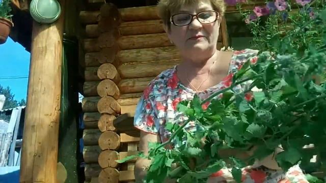 вяжем веники смотреть онлайн