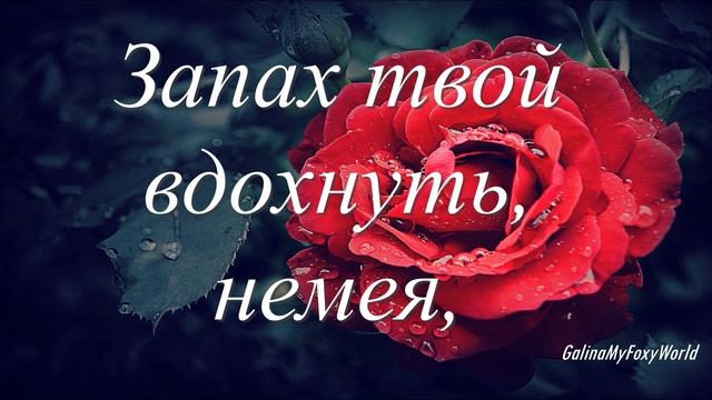 Я ХОЧУ СКОРЕЙ ОБНЯТЬ смотреть онлайн