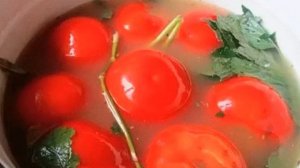 Соленые помидоры с горчицей (старинный рецепт)