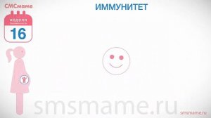 16 неделя беременности - иммунитет беременной женщины, дополнительные обследования.