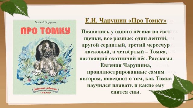 Волшебный мир зверей и птиц Е.Чарушина