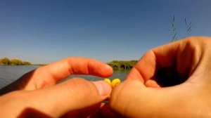 Насаживание кукурузы на крючок.Рыбалка.Fishing