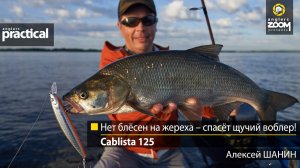 Нет блёсен на жереха – спасёт щучий воблер! Cablista 125. Алексей Шанин.Anglers Practical