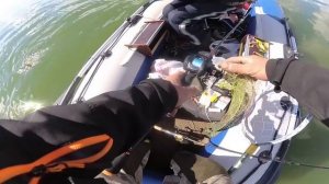 Лучшая приманка это подаренная другом от души. Проверено судаком! Рыбалка в Беларуси.