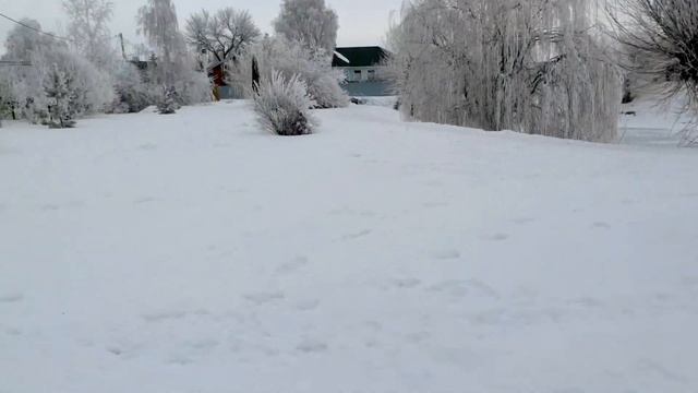 Красота ХРАМА и подарок ПРИРОДЫ Иней ВЛОГ ПОЗДРАВЛЕНИЕ с Праздником Видео для детей