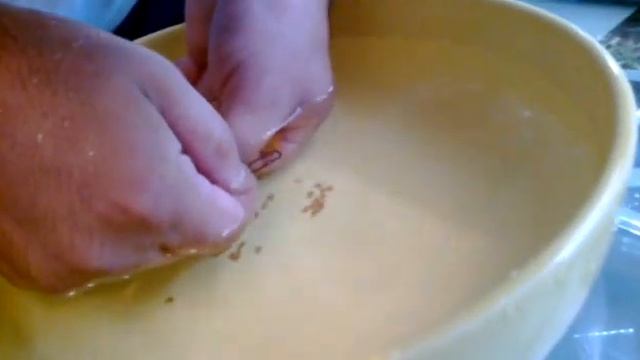 ИКРА ЕЛЛОУ АКВАРИУМНЫЕ РЫБКИ смотреть онлайн