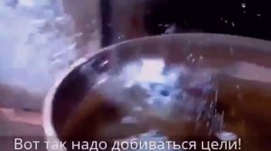 Целеустремлённый котик)