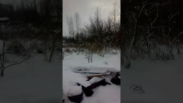 Колодное пчеловодство.Средне-русская пчела. Изготовление колоды.Часть 1. смотреть онлайн