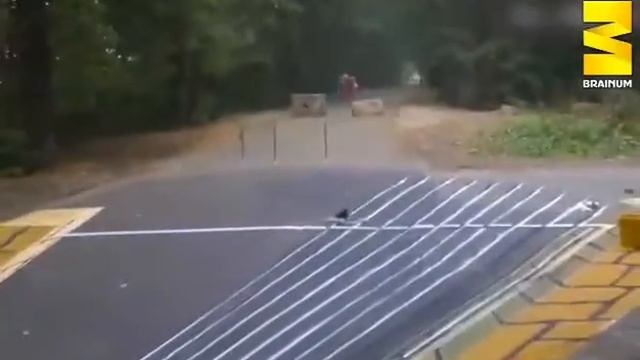 Как красиво рисуют люди смотреть онлайн