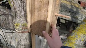 КУДА И КАК ВЕШАТЬ СКВОРЕЧНИК! ПАРА ПРАВИЛ