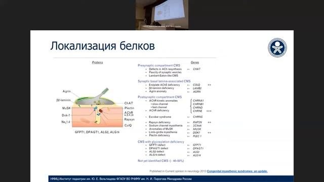 Клинико-генетические особенности врожденных миастенических синдромов и терапевтические стратегии