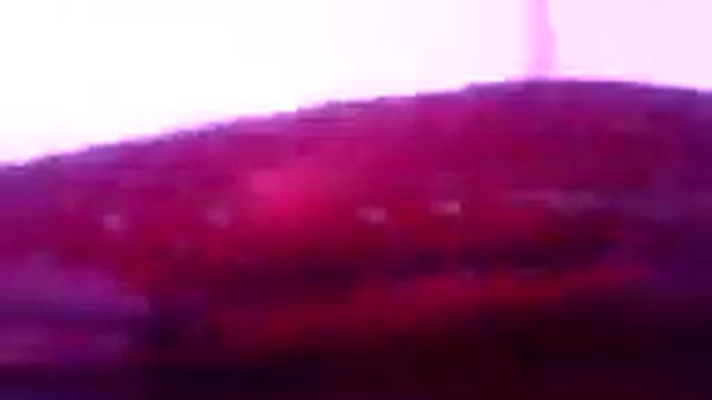 flowerhorn : pearl spot green dragon смотреть онлайн