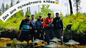 Два дня пулеметного клёва. Часть первая. Рыбалка на хариуса. Рыбалка на горной реке. Водомёт