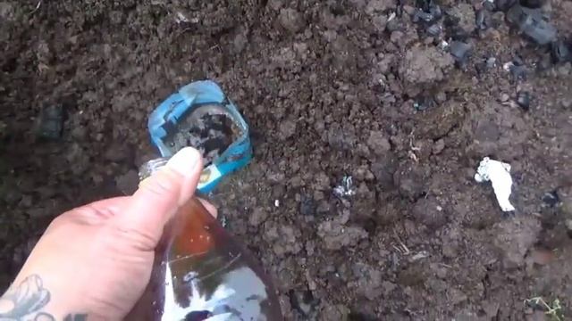 Борьба со слизнями продолжается. Пробуем ставить ловушки. Часть 1 смотреть онлайн