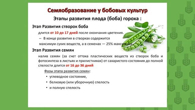 3.1 Растениеводство