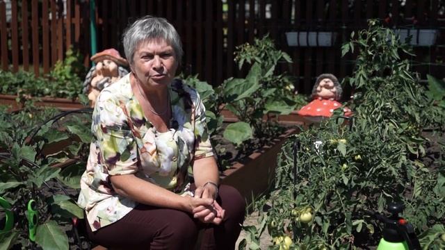 Проблема желтых листьев на томатах: причины, последствия и способы устранения ? смотреть онлайн