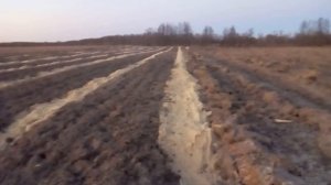 Посадка голубики в опилки. Необходимые объемы сыпучих материалов