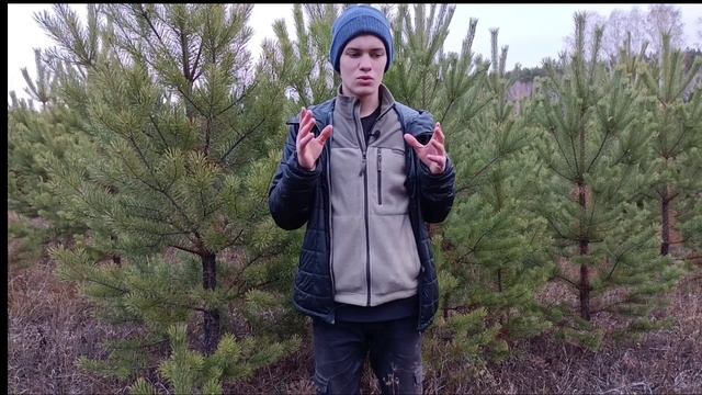 Что такое мораль на самом деле? И зачем она нужна?