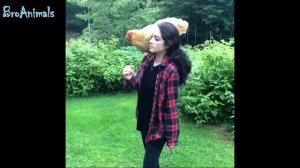 ПРИКОЛЫ С ЖИВОТНЫМИ, смешные птицы   FUN WITH ANIMALS, funny birds #444.mp4