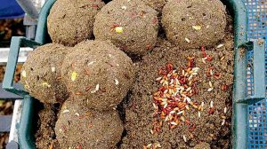 Прикормка для белой рыбы своими руками.