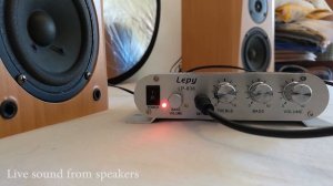 Lepy LP-838 - Unboxing and Test (from ebay)