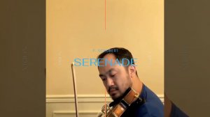 Serenade F. Schubert