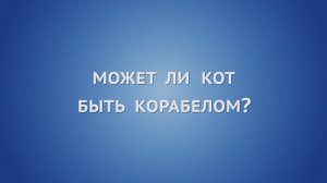 Может ли кот быть корабелом