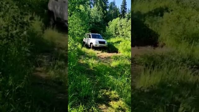 едем на рыбалку#подводнаяохота #киров #рыбалка