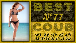 Best Coub Compilation Лучший Коуб Смешные Моменты Видео Приколы №77 #TiDiRTVBESTCOUB