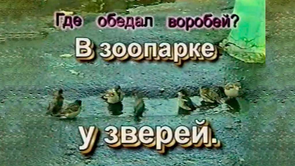 Где обедал воробей - в зоопарке у зверей