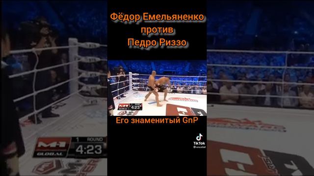 Фёдор Емельяненко против Педро Риззо