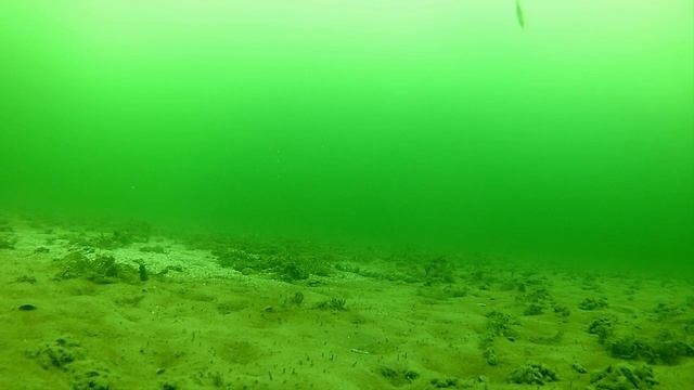 Плещеево озеро Начало марта Подледные сьемки смотреть онлайн