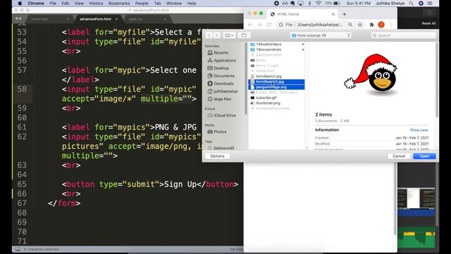[HTML-Tutorial-20] Advanced HTML Form | Input Types & Form Elements | Web Development for Beginners