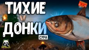 РР4/ рыбалка для души, ловим как универсал, общаемся 14.10.23