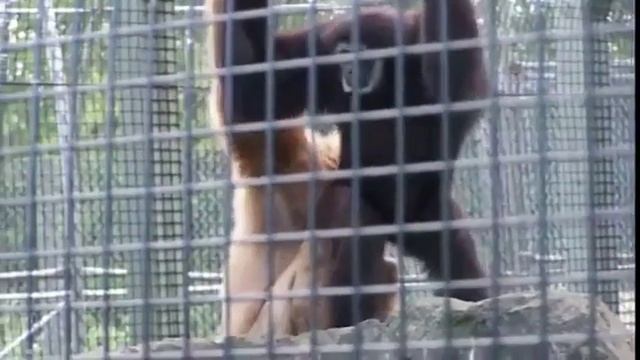 Прикол как заткнуть свою девушку смотреть онлайн