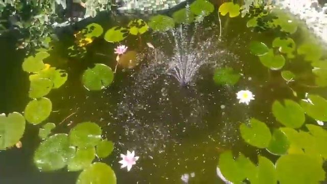 (Диск №57) - На Великий Праздник награждения Свщ Арх Рафаила орденом Почаевской Матери Божией - 1 смотреть онлайн