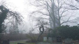 К чему снится кладбище? Кладбище во сне ? Сонник ? Толкование снов ?