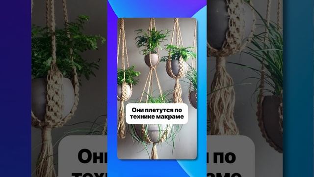 Декор стен живыми растениями ? #дизайнинтерьера #модныйремонт #уютныйдом #ремонт #элитныйремонт