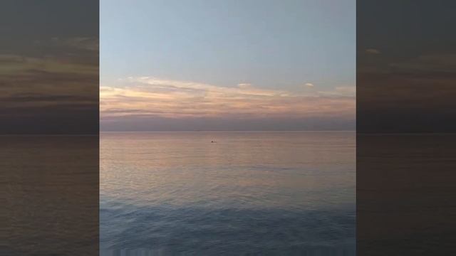 Ответ сёстрам и их хомячкам! Я мзду не беру, мне за девчонок обидно! смотреть онлайн