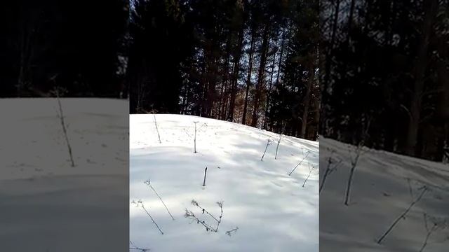 Динго Т-150 длинная гусеница смотреть онлайн