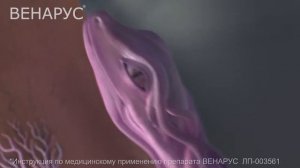 #свежее Venarus_20