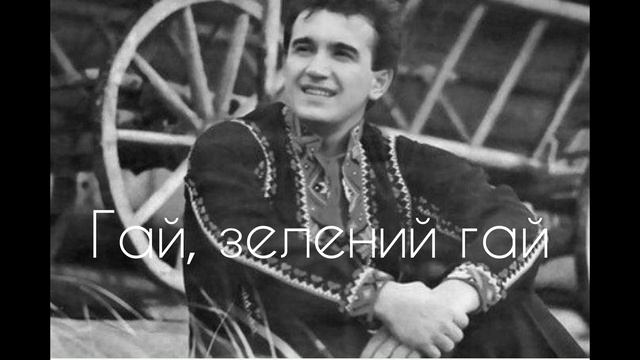 Гай, зелений гай - Назарій Яремчук